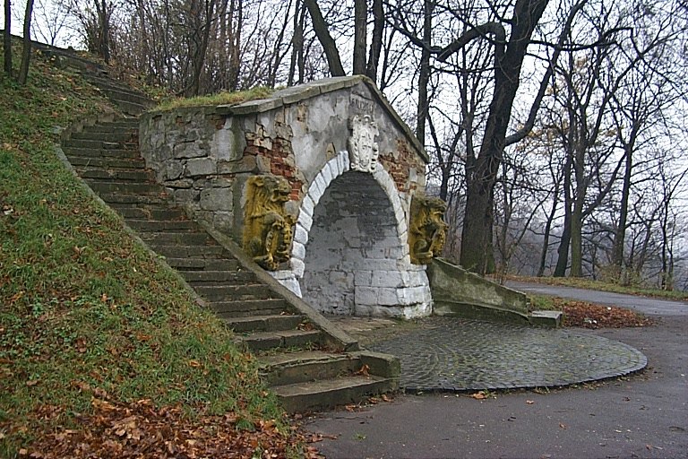 Елена Бравая | Львов