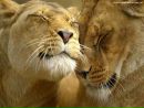 №30 Иришка Соколова-Митленко 12.06: профиль, фото, статус - ВКонтакте №30 Иришка Соколова-Митленко 12.06: профиль, фото, статус - ВКонтакте