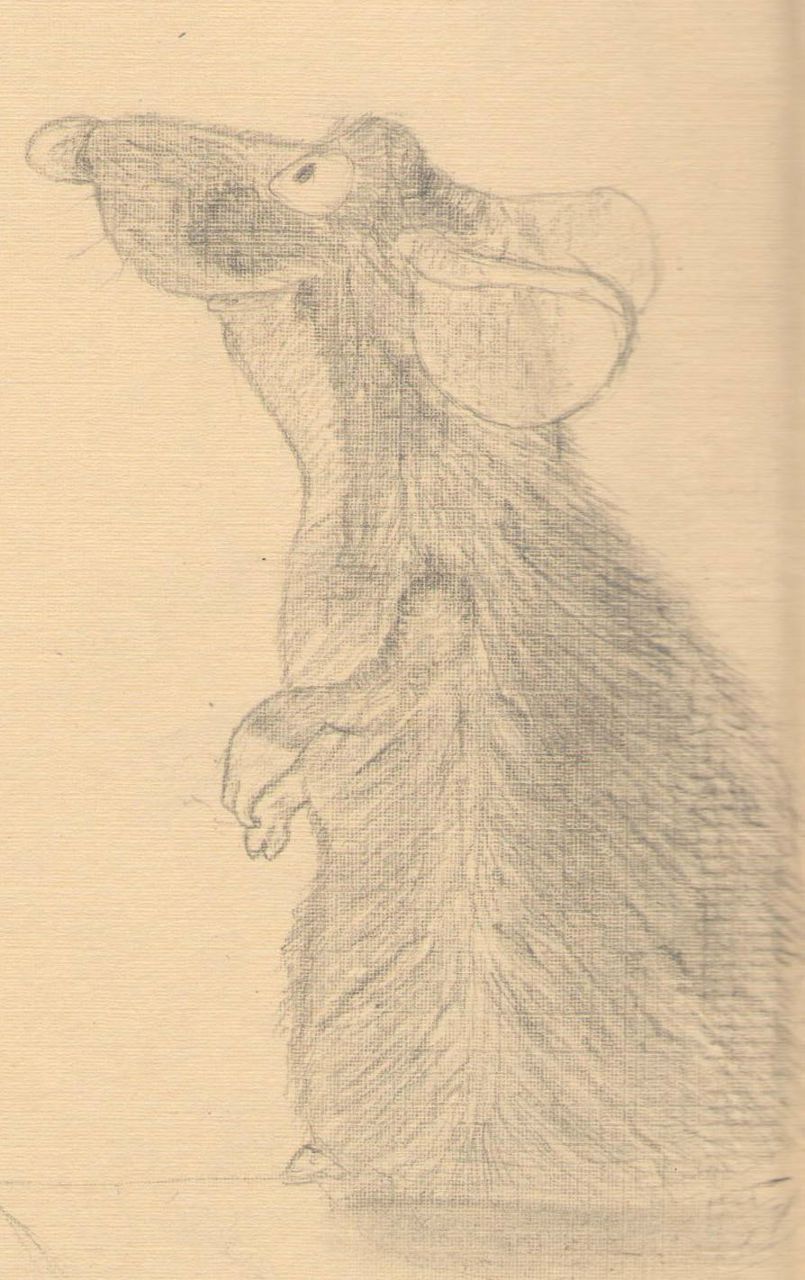 Игорь Деремука Медведь | Киев