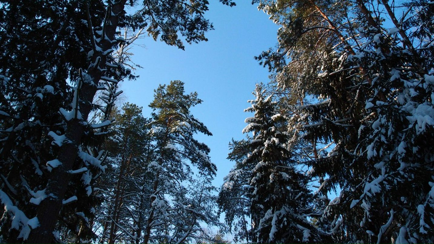 Любовь Чернега | Рославль