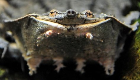 Егор Алябьев | Кемерово