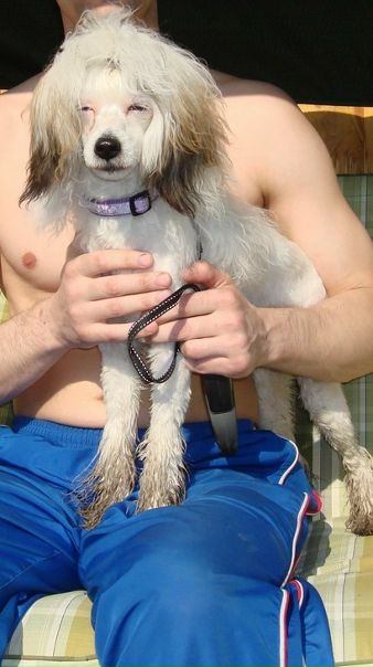 №112, Натали Плисова, 35 лет, Новосибирск №112, Натали Плисова, 35 лет, Новосибирск