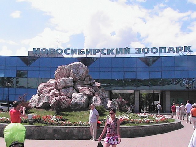 Сергей Зинкевич Георгиевич | Санкт-Петербург