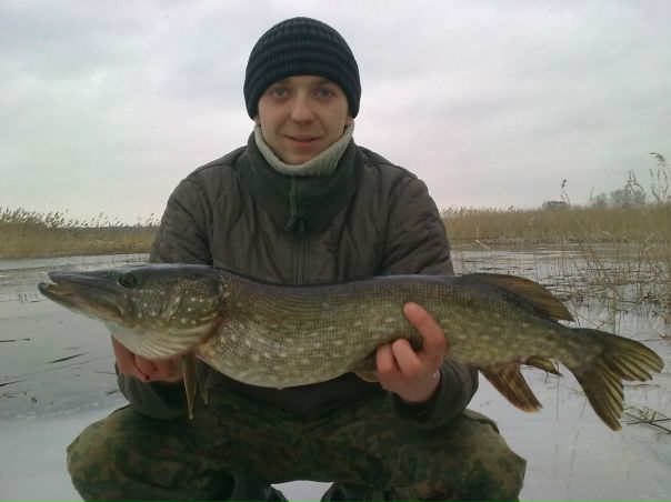 №1, Сергей Купчик, 39 лет, Нововолынск №1, Сергей Купчик, 39 лет, Нововолынск