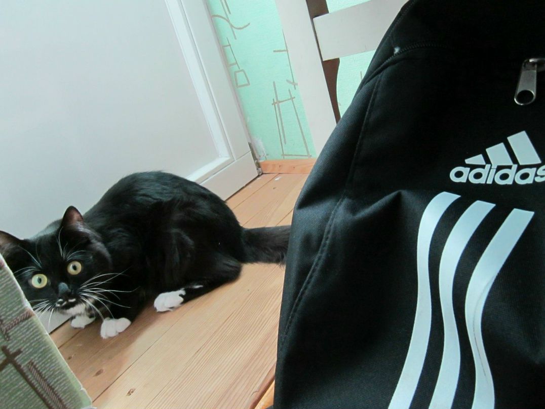 Таня Зырко | Минск