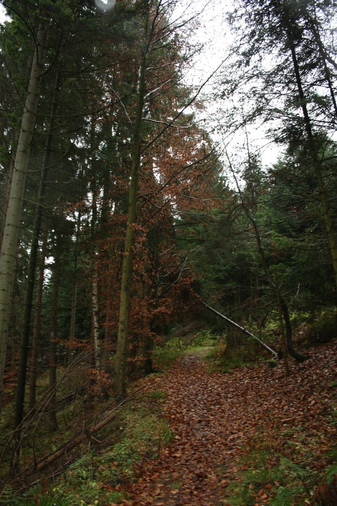 Наташа Малеева | Москва