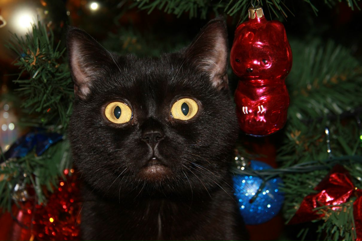 Евгения Матаева | Москва