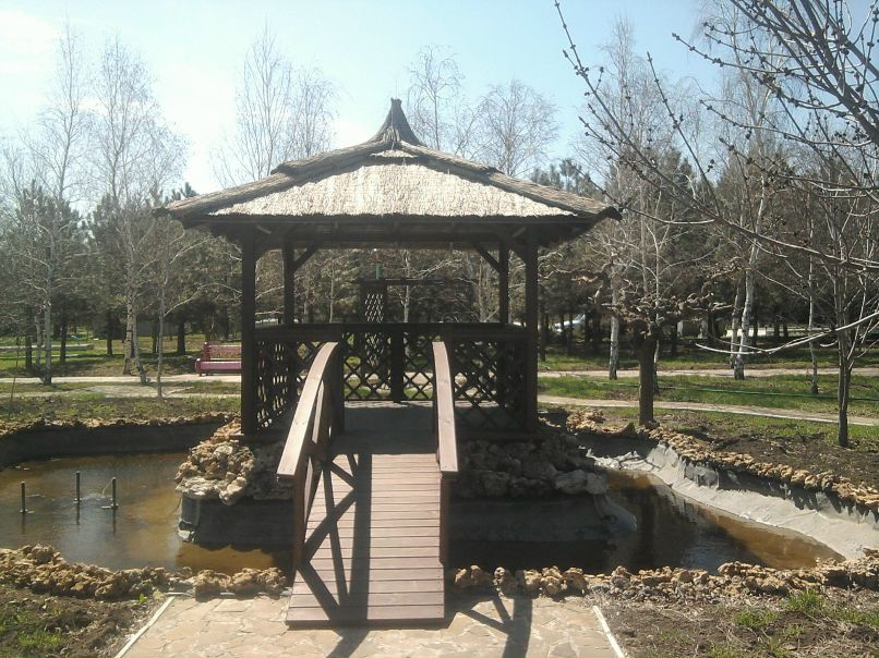 Дмитрий Головченко | Запорожье