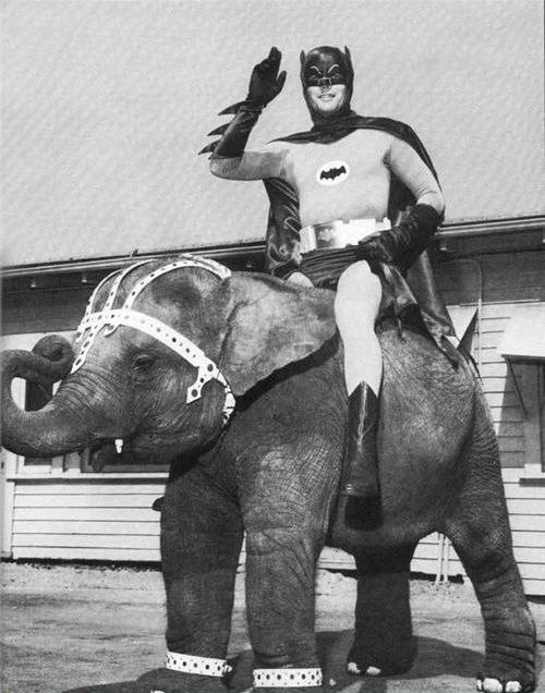 Роман Фура | Хмельницкий