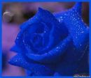 №17 Юлия Володина 16.08.1999: профиль, фото, статус - ВКонтакте