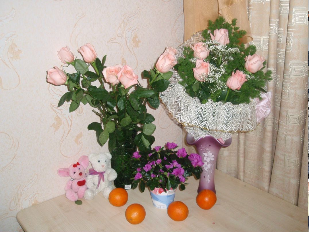 Алла Мудрова Аллочка | Северодвинск