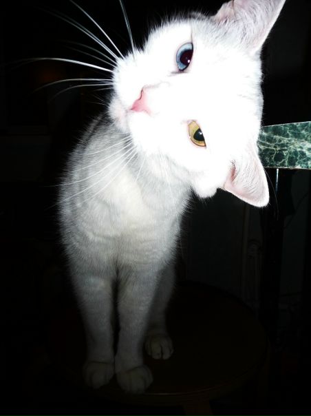 №5, Александр Куцев, Севастополь №5, Александр Куцев, Севастополь