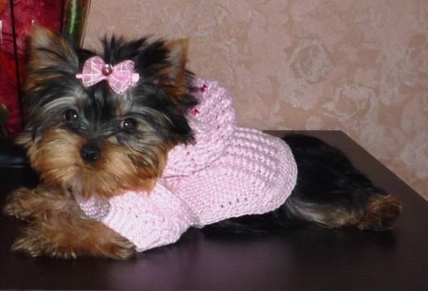 Ксения Клюшинцова | Мурманск