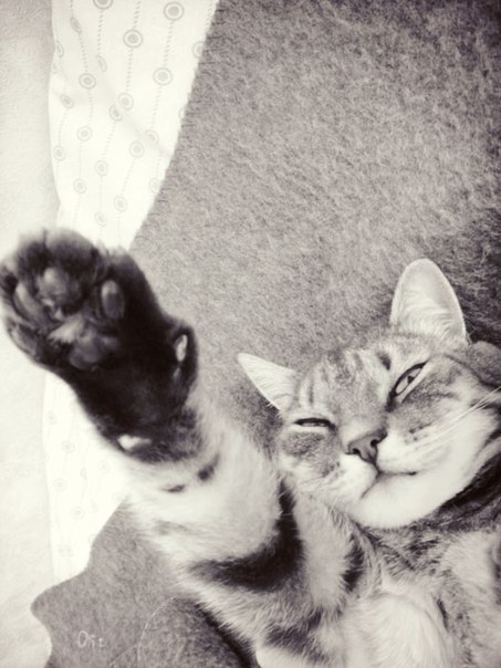 Анастасия Андреевна | Москва