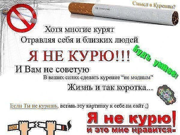 Мушвиг Сулейманов | Киев