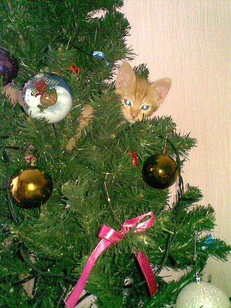 №7, Екатерина Очирова, Ярославль, Россия №7, Екатерина Очирова, Ярославль, Россия