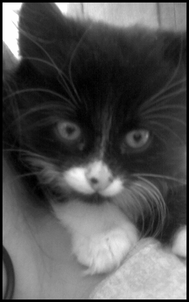 Julia Khoma ...Julietka... | Львов