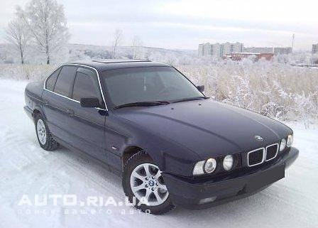 Петр Солоденко | Краснодар