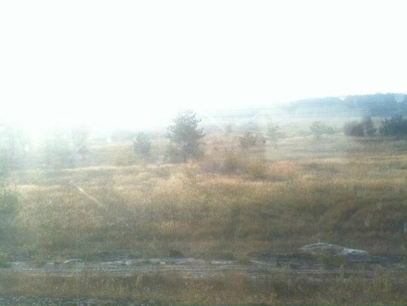 №113, Ильйа Difackoff, Санкт-Петербург №113, Ильйа Difackoff, Санкт-Петербург