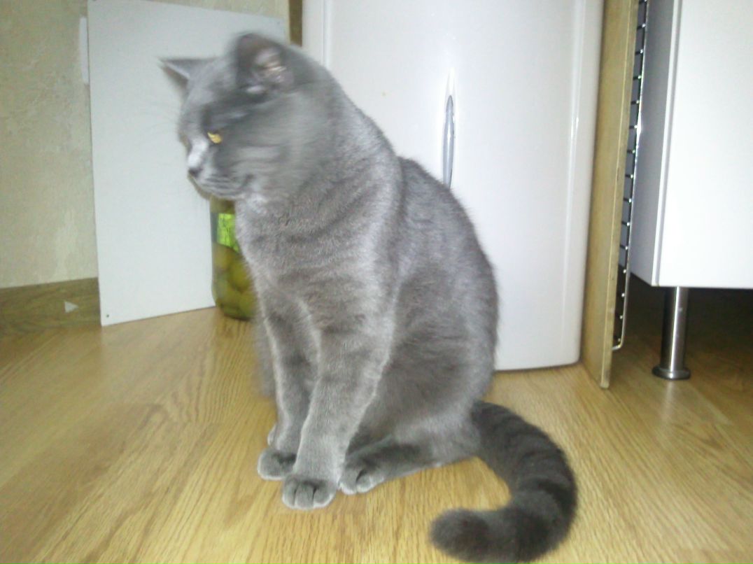 Тома Васильева | Москва