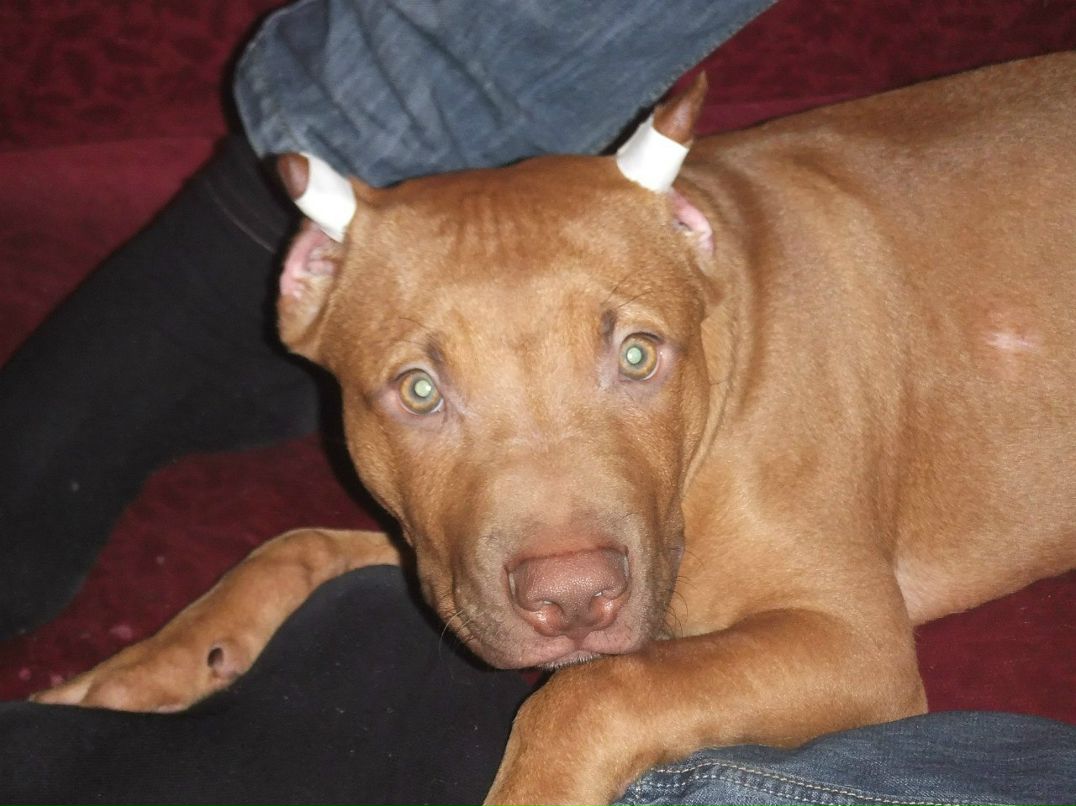 Алексей Вольхин | Санкт-Петербург