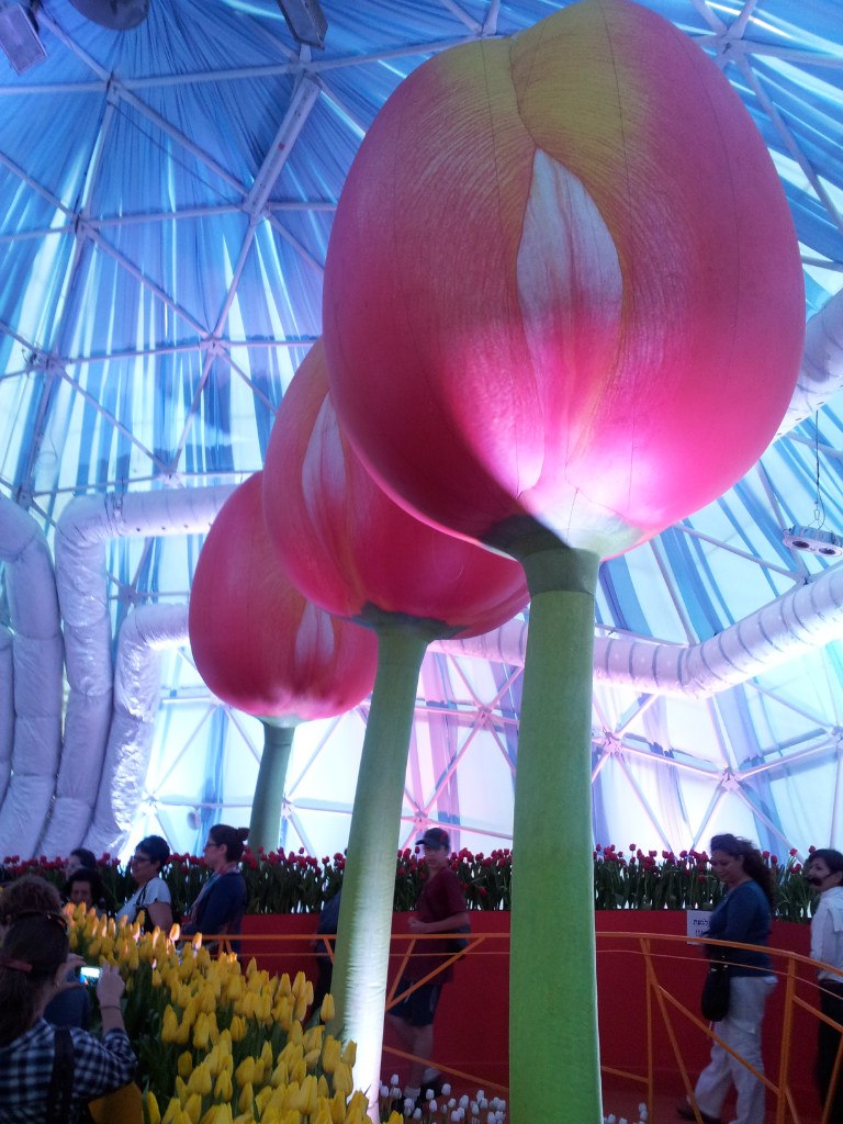 Влад Лейбензон | Хайфа