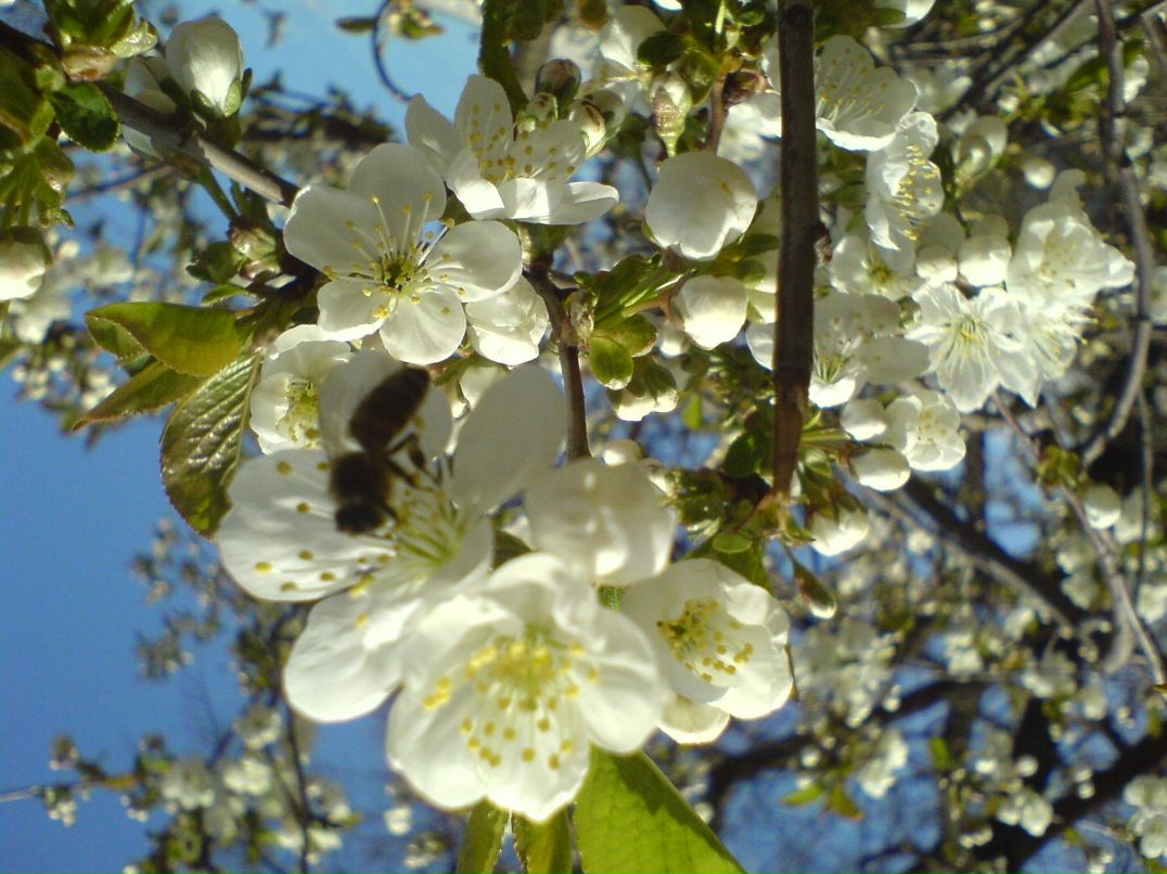 Алексей Борисов | 