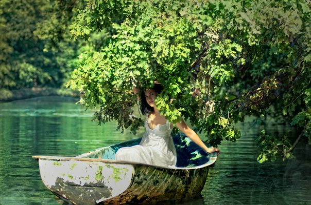 №81, Ольга Таций, 43 года, Киев №81, Ольга Таций, 43 года, Киев