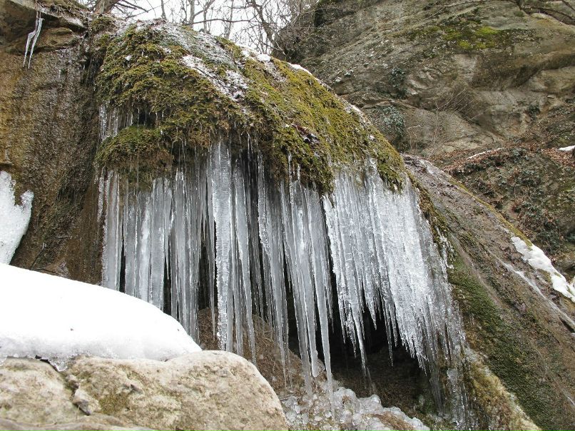 Игорь Баженов | 