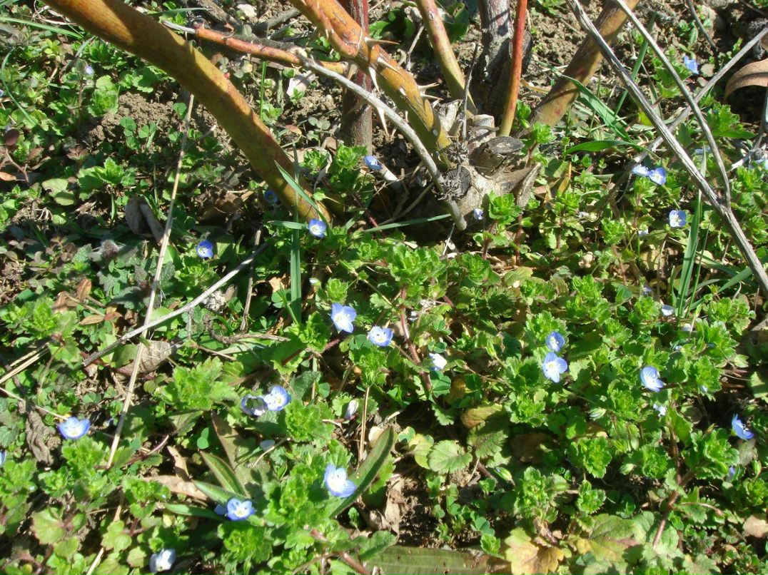 Владимир Ковдя | Ялта