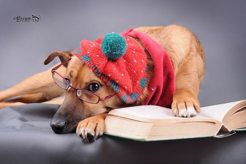 Татьяна Кривошенко | Лисичанск