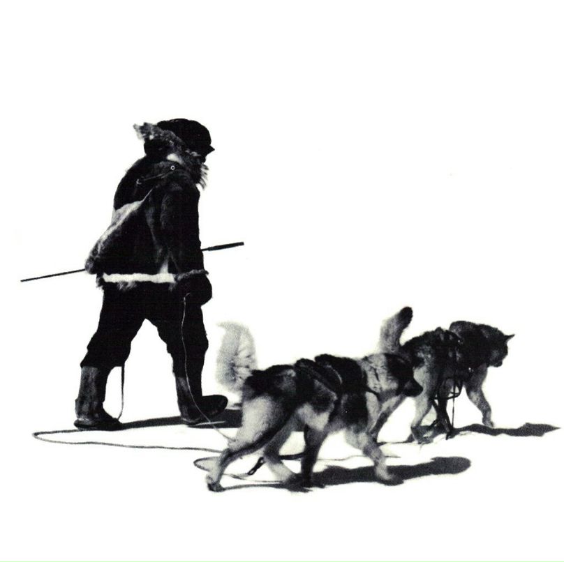 Дмитрий Кудряшов | Санкт-Петербург