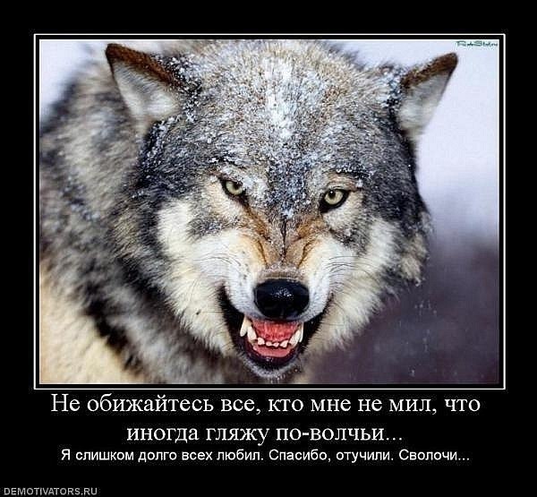 Дмитрий Шевченко | Волгоград