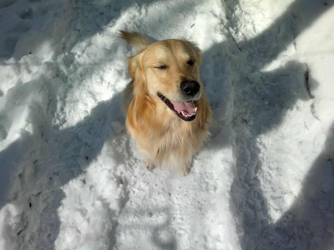 Дмитрий Черноляхов ())---DIMON--- | Москва