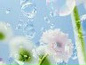 Оля Полудняк | Чемеровцы