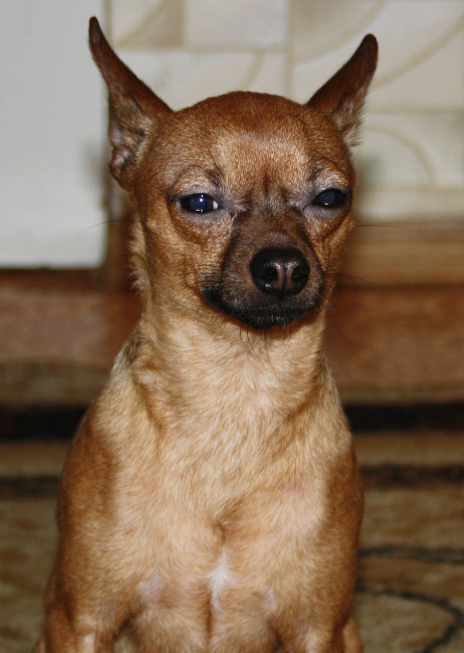 Виктория Рудченко | Омск