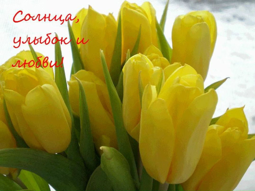 Юля Буковская | Санкт-Петербург