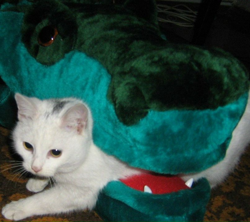 Елена Кезь | Александрия