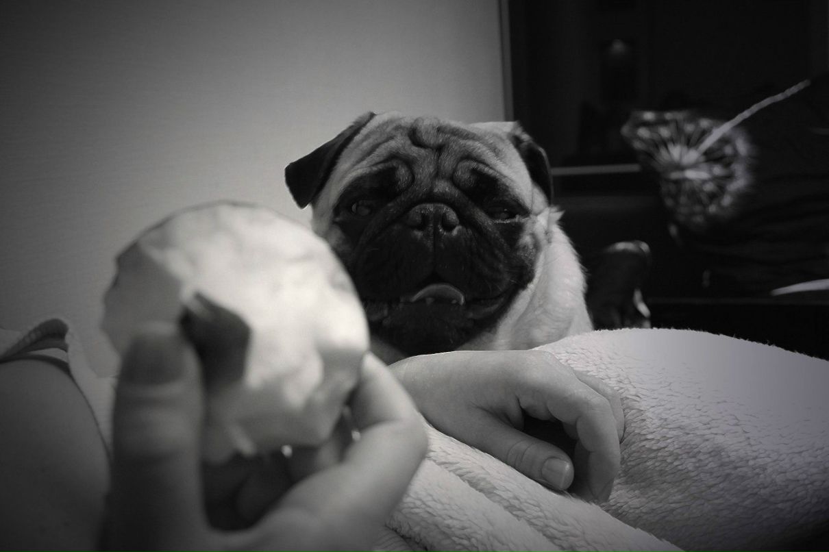 Артем Семиволос | 