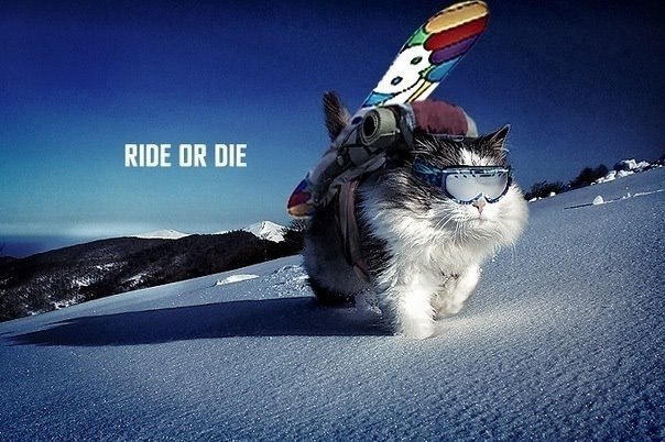 Алексей Кравцов | Москва