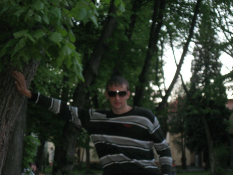 №15, Вася Улич №15, Вася Улич