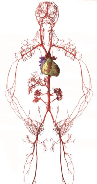 Jo Lewis ✮♔ J ♔✮ | 