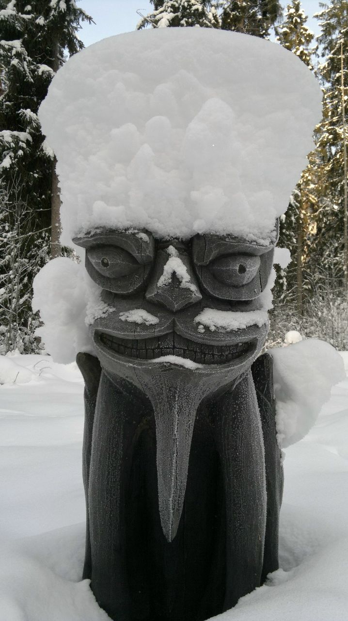 Михаил Краснов The beginner | 