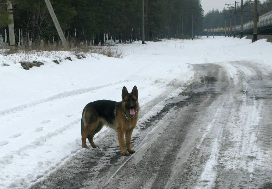 №8, Ярослав Бондарь №8, Ярослав Бондарь