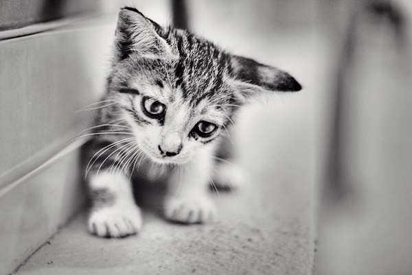 Антон Варакин Ich mag Brüste | Хабаровск