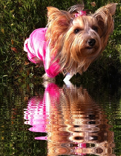 №170, Леник Балашова №170, Леник Балашова