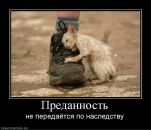 №14 Юлечка Чумуркина 31.12.1988: профиль, фото, статус - ВКонтакте №14 Юлечка Чумуркина 31.12.1988: профиль, фото, статус - ВКонтакте