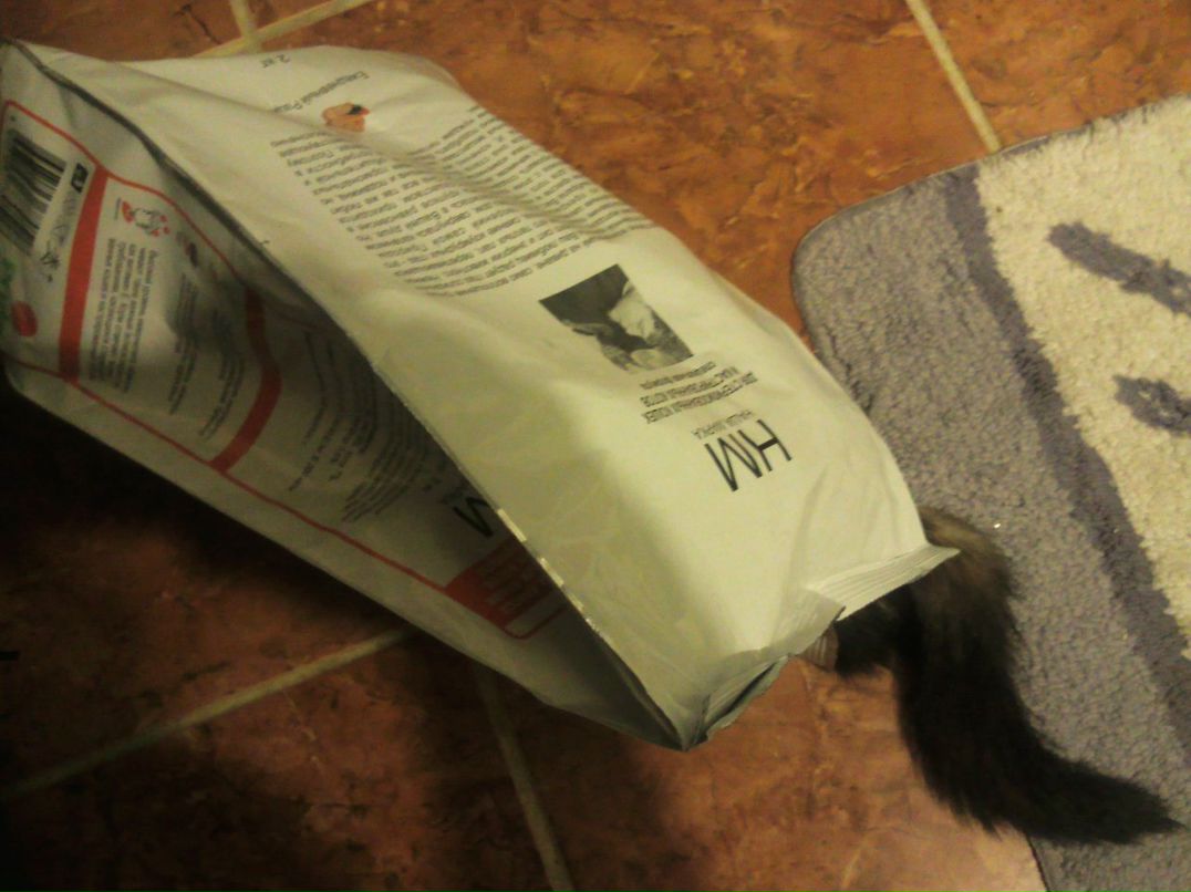 Эля Листвина | Санкт-Петербург