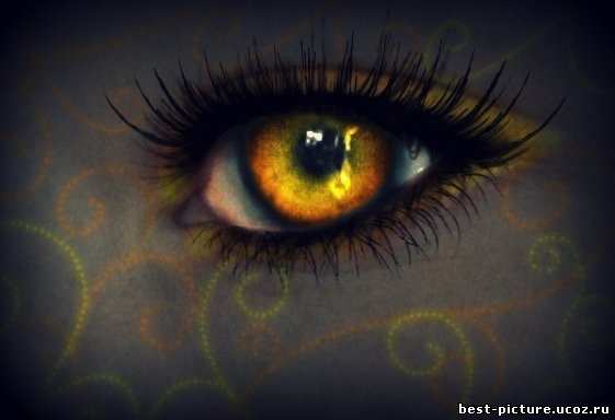 №151, Юлия Недосова №151, Юлия Недосова