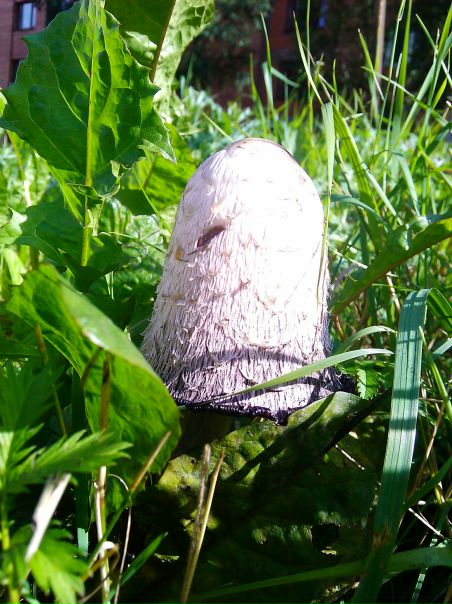 №12, Георгий Утлинский, Ярославль №12, Георгий Утлинский, Ярославль